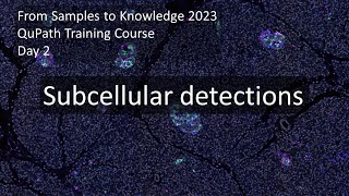 Subcellular detections