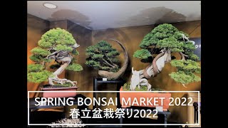 ❶ Spring Bonsai Market 2022 at the UGC ・ 立春盆栽大市 2022「上野グーリンクラブ」