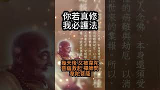 【佛法無邊】韋馱菩薩，你若真修 、我必護法，最強護法神【60秒精華篇】