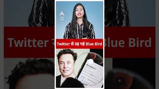 Twitter से उड़ गई Blue Bird, Elon Musk ने फिर किया बदलाव | #abpliveshorts