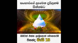 ඔබේ අම්මා තාත්තා ආච්චි සීයා එක්ක යන්න හැමෝටම බෙදා හැරිමක් කර පිං රැස් කර ගන්න