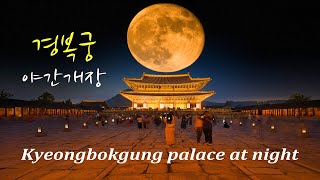 [Hello Photo TV]경복궁 야간 개장, Gyeongbokgung palace at night, seoul tour, 4k UHD video