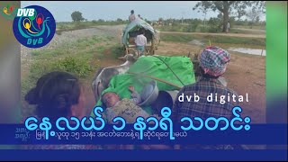 DVB Digital နေ့လယ် ၁ နာရီ သတင်း (၃၀ ရက် ဇန်နဝါရီလ ၂၀၂၅)