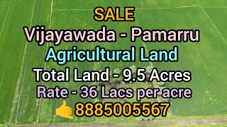 Agricultural Land for Sale#Pamarru#Vijayawada#Bundar road#Rate 36 Lacs per Acre#🤙8885005567