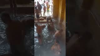 Taking Holy Bath in hot water Tapta kund at Badrinath.