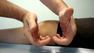 Popliteal pulse palpation fingers and thumbs