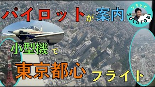 東京遊覧飛行！パイロットが解説#セスナ