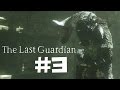 The Last Guardian Walkthrough Gameplay Part 3 (Full Game) – 1080p Full HD PS4 – No Commentary