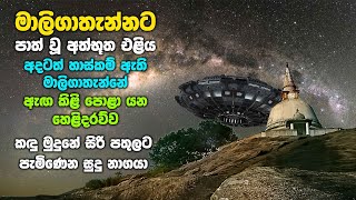 අදටත් හාස්කම් ඇති මාලිගාතැන්නේ ඇඟ කිළි පොළා යන හෙළිදරව්ව | Maligathanna Raja Maha Viharaya Gampaha