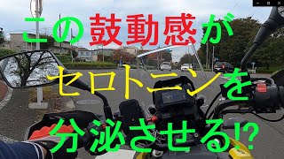 Vストローム250【この鼓動感♬がセロトニンを分泌させる!?】【50代 転職 起業 定年 リストラ 早期退職制度】