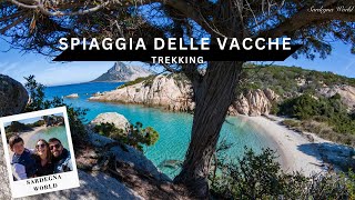 Come Raggiungere la spiaggia delle Vacche e della Tartaruga [ 4k Trekking ] Sardegna World