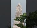 balaji temple in between gulmohar tree tirupati shorts