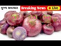 નવી ડુગળી ના ભાવ ✴️ 17 01 2025 ડુગળી ભાવ 2025 information about onion crop price khedutseva