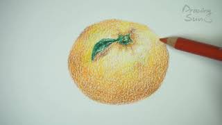 귤 그리기 색연필 그림 Tangerine drawing colored pencils