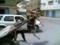 Just for laugh! Funny prank - The Donkey is flying!