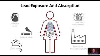 Anemia due to Lead Intoxication