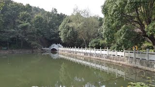 中国🇨🇳安徽合肥巢湖市东庵森林公园