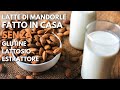 HOME MADE ALMOND MILK WITHOUT EXTRACTOR GLUTEN-FREE LACTOSE-FREE EASY and FAST