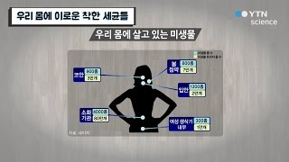 우리 몸에 이로운 착한 세균들 / YTN 사이언스