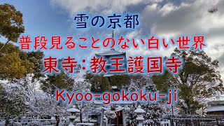 京都の寺院　雪の東寺