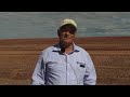 managing your exposed soils clay spreading and spading in the fire zone