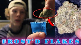 FROST'D FLAKES REVIEW!