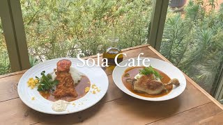 Sola Cafe / カフェ / カフェ巡り / 兵庫 #shorts