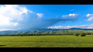 White clouds, green grassland.