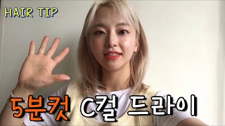 [다솔뷰티] 🖐5분 C컬 롤 드라이 | 출근 드라이 | 초간단 드라이 |롤 사용법