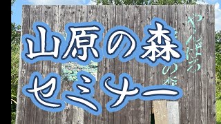 首里少林流円心軸「沖縄やんばるの森で永野さん主催のセミナー開催、ヨーロッパ、中北米から空手家が多数参加」