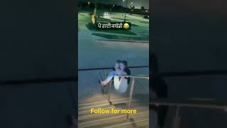 #foryou #shorts #viral #funny #fyp #punjabi #funnyvideo #funnyclips 😂😂