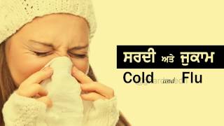 ਸਰਦੀ ਅਤੇ ਜ਼ੁਕਾਮ ll ਘਰ ਦਾ ਵੈਦ ll  ਦੇਸੀ ਇਲਾਜ ll Cold and Flu ll Punjabi Nukhse ll Ghar da vedh