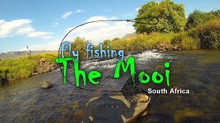 Fly fishing The Mooi Riverside