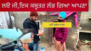 ਲੳ ਜੀ,ਇਕ ਕਬੂਤਰ ਲੱਭ ਗਿਆ ਆਪਣਾ ਹਰੀ ਬਗਲ ਵਾਲਾ ਪਿੰਡ ਲੂਲਬਾਈ ਤੋਂ|ਦੇਖੋ ਸਾਰੀ video