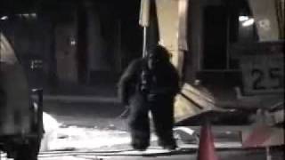 Jackass Night Monkey