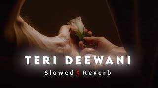 Teri Deewani (Slowed + Reverb) - Sanam Puri | Lofi Songs | Shir Sunny