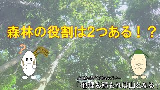 5 -14　世界の林業を見てみよう－木材はどこで生産されている？－