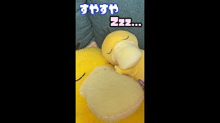 【新商品】～すやすやフレンド　ぬいぐるみS　コダック～新しいともだち