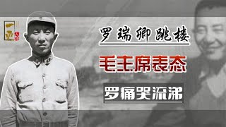 1966年罗瑞卿跳楼，毛主席让汪东兴带了句话，罗瑞卿听后老泪纵横