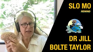 SLO MO REWIND: Dr. Jill Bolte Taylor on Your Only Job as a Human Being