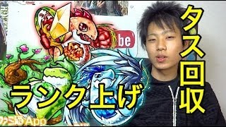 【モンスト】経験値効率がいいクエストを解説！ランク上げとタスを集めよう！