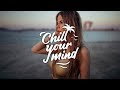Disco Fries - Reckless (Kapre Remix)