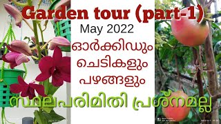 Garden Tour-part 1//ഓർക്കിഡും ചെടികളും പഴങ്ങളും//Malayalam //Green Home