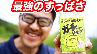 【史上最強】ガチすっぱいレモンを飲むマック堺