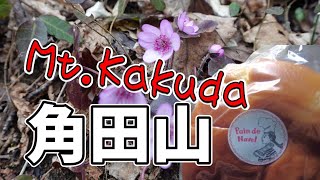 【角田山登山】雪割草　桜尾根コース　此の入沢コース　2024年3月23日