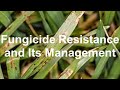 Fungicide Resistance and Its Management