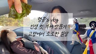 [vlog] 인생 첫 부여 당일치기, 왕복 6시간 운전🥵, 전통혼례 신기해👀, 고향에서 부모님과 데이트💕