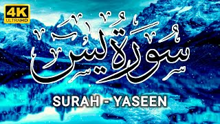 Surah Yaseen❤️ | Surah Yasin💓 | Surat ul Yaseen Amazing Voice of Hafiz Arshad Ahmad Official