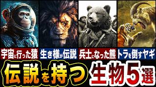 伝説を持つ生物たちが衝撃的すぎる…!!伝説を持つ生物5選【ゆっくり解説】