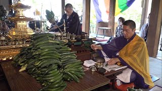 土用の丑の日はキュウリに祈りを…？小豆島で病気の治癒など願う「きうり加持」　香川